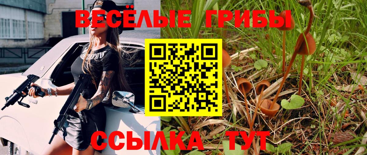 Майский  Галлюциногенные грибы прущие грибы  Псилоцибиновые грибы ЛСД  Вход с VPN 